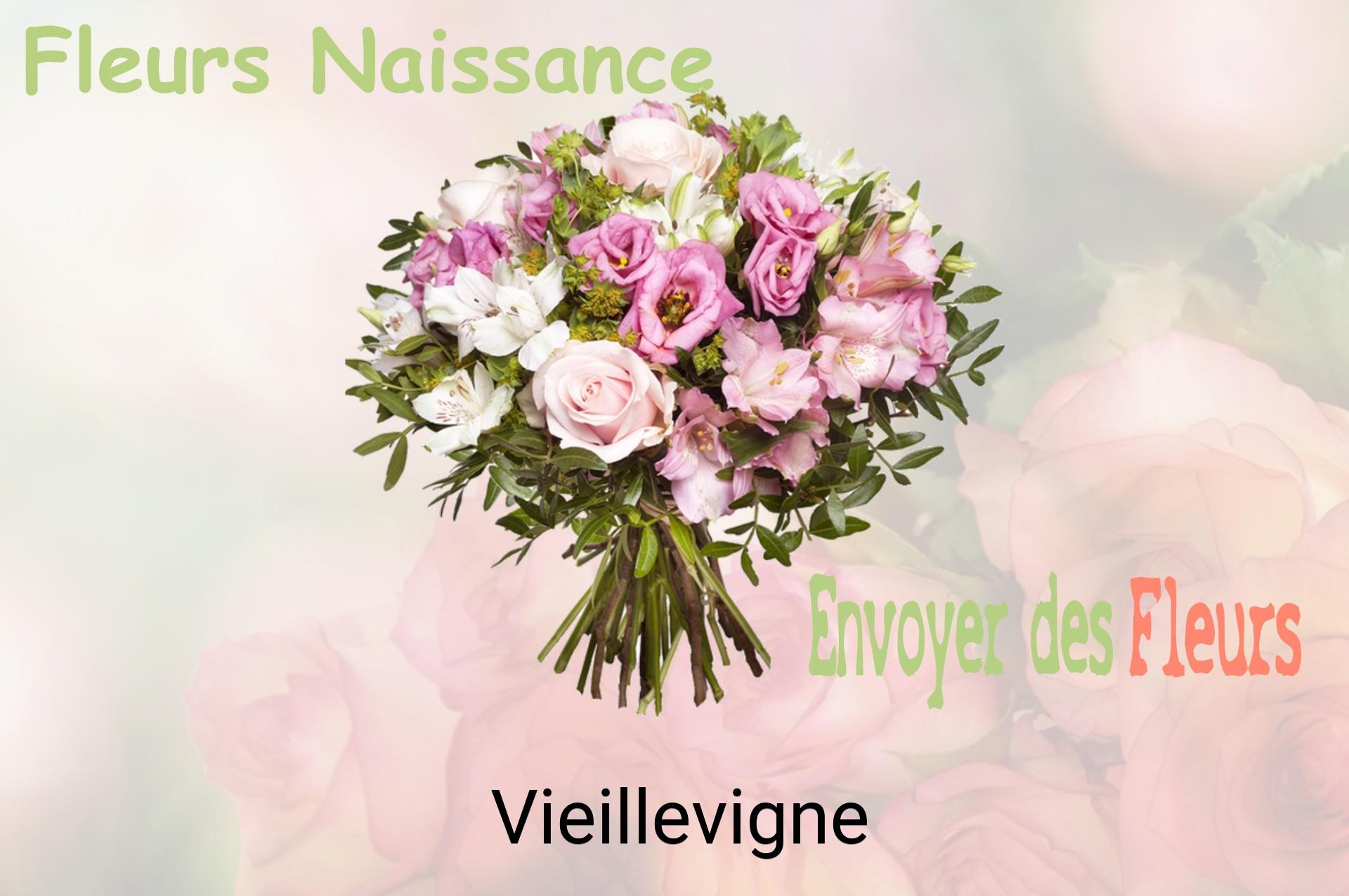 Bouquet de fleurs de naissance livré à Vieillevigne